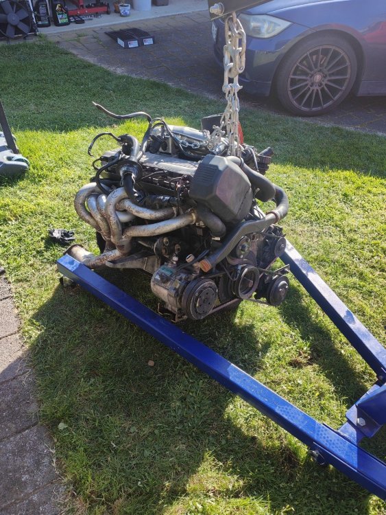 M20 Lump Removed.jpg